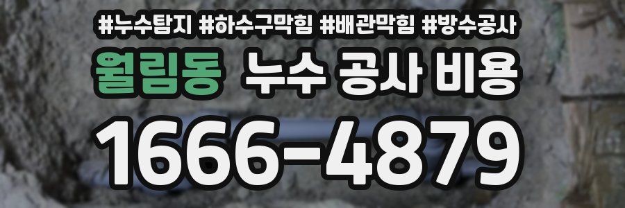 월림동 누수 공사 비용