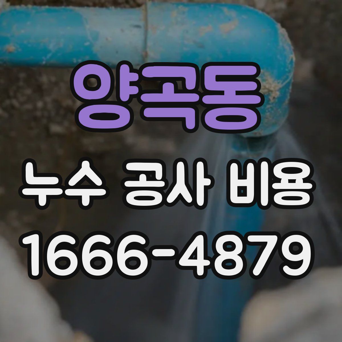 양곡동 누수 공사 비용