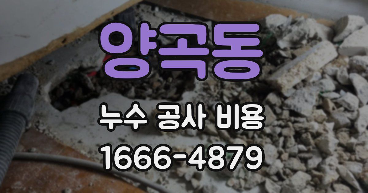 양곡동 누수 공사 비용