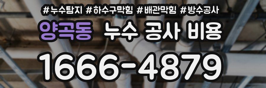 양곡동 누수 공사 비용