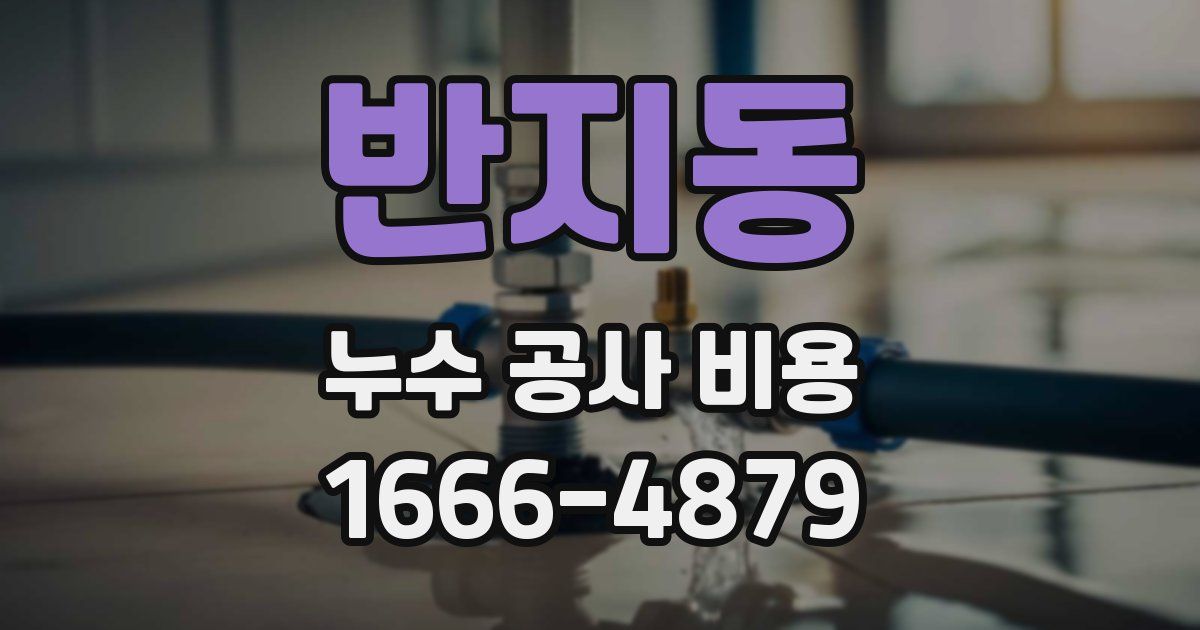 반지동 누수 공사 비용