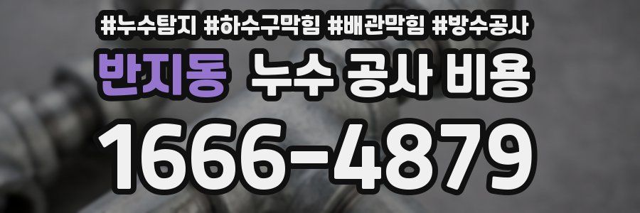 반지동 누수 공사 비용