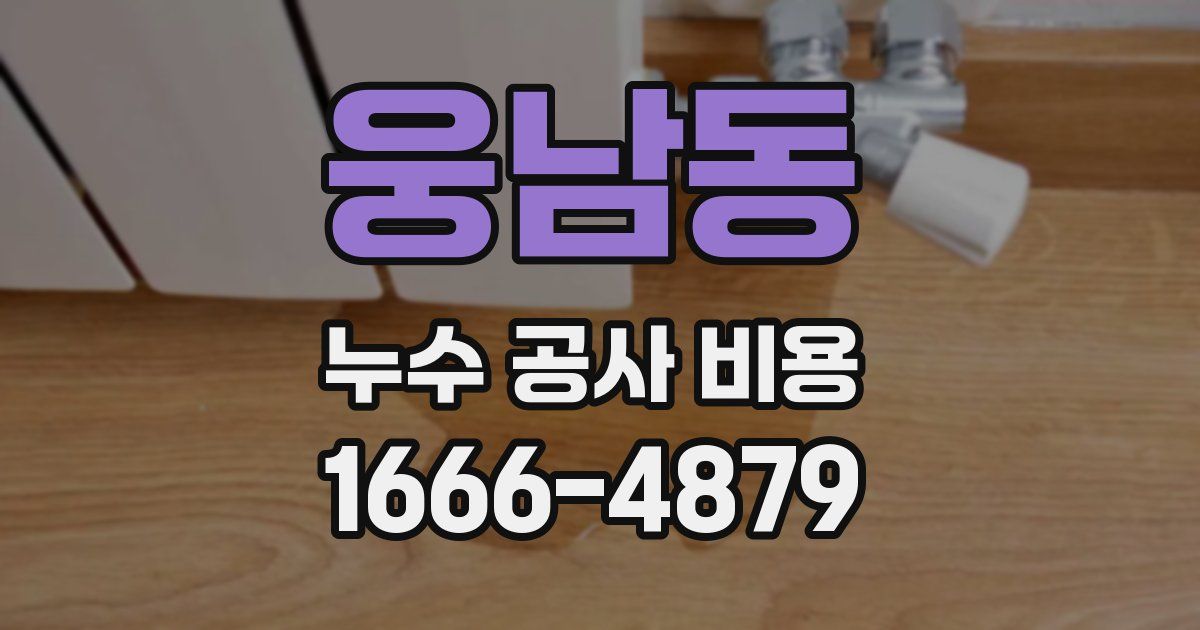 웅남동 누수 공사 비용