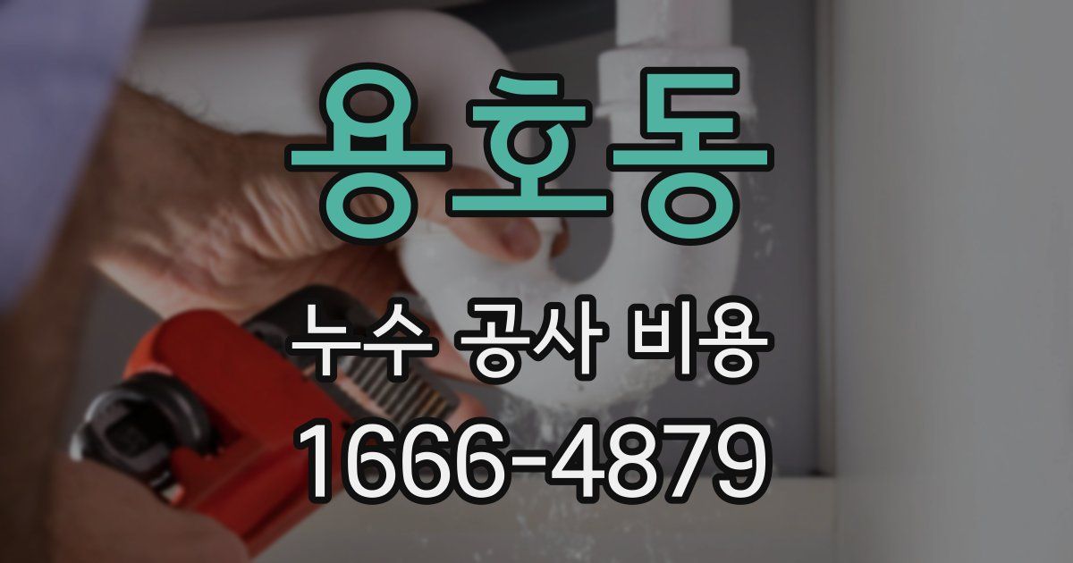 용호동 누수 공사 비용