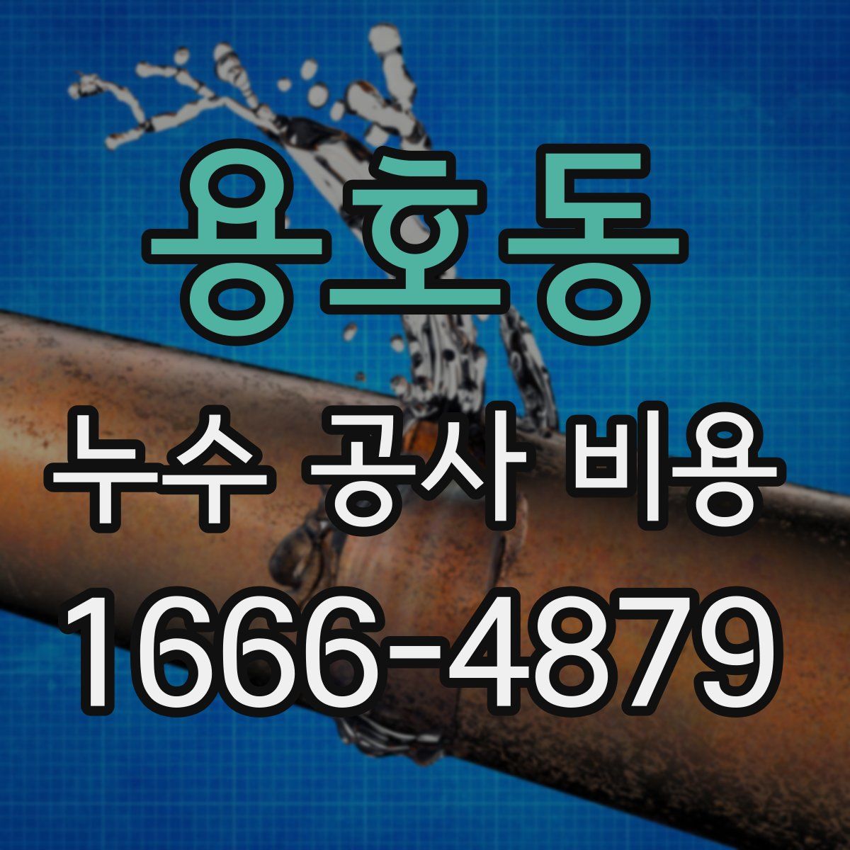 용호동 누수 공사 비용