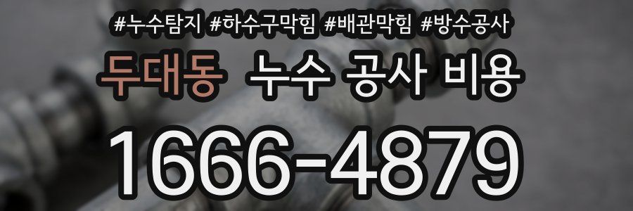 두대동 누수 공사 비용