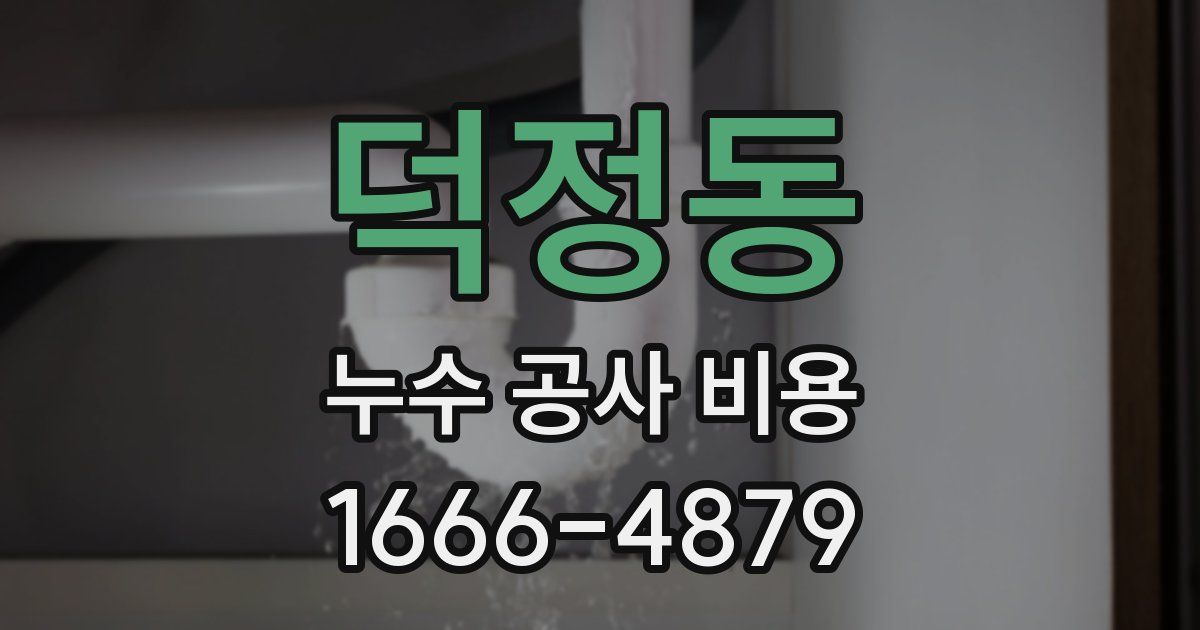 덕정동 누수 공사 비용