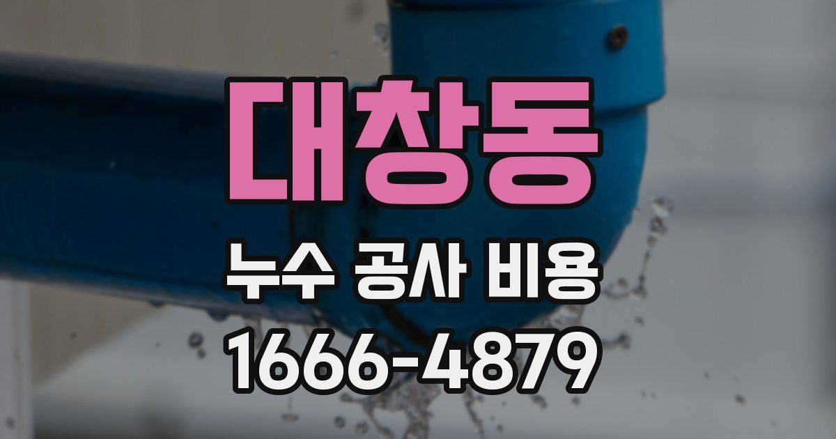 대창동 누수 공사 비용