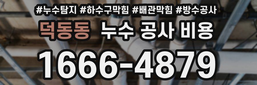 덕동동 누수 공사 비용