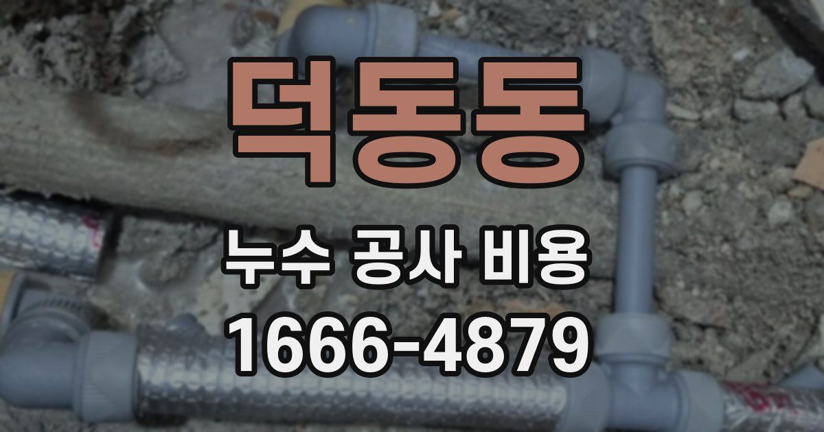 덕동동 누수 공사 비용