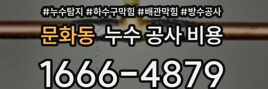 문화동 누수 공사 비용