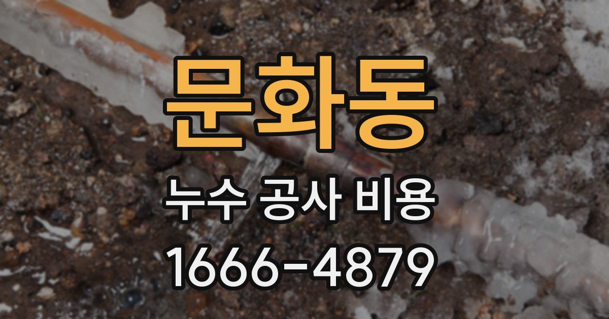 문화동 누수 공사 비용