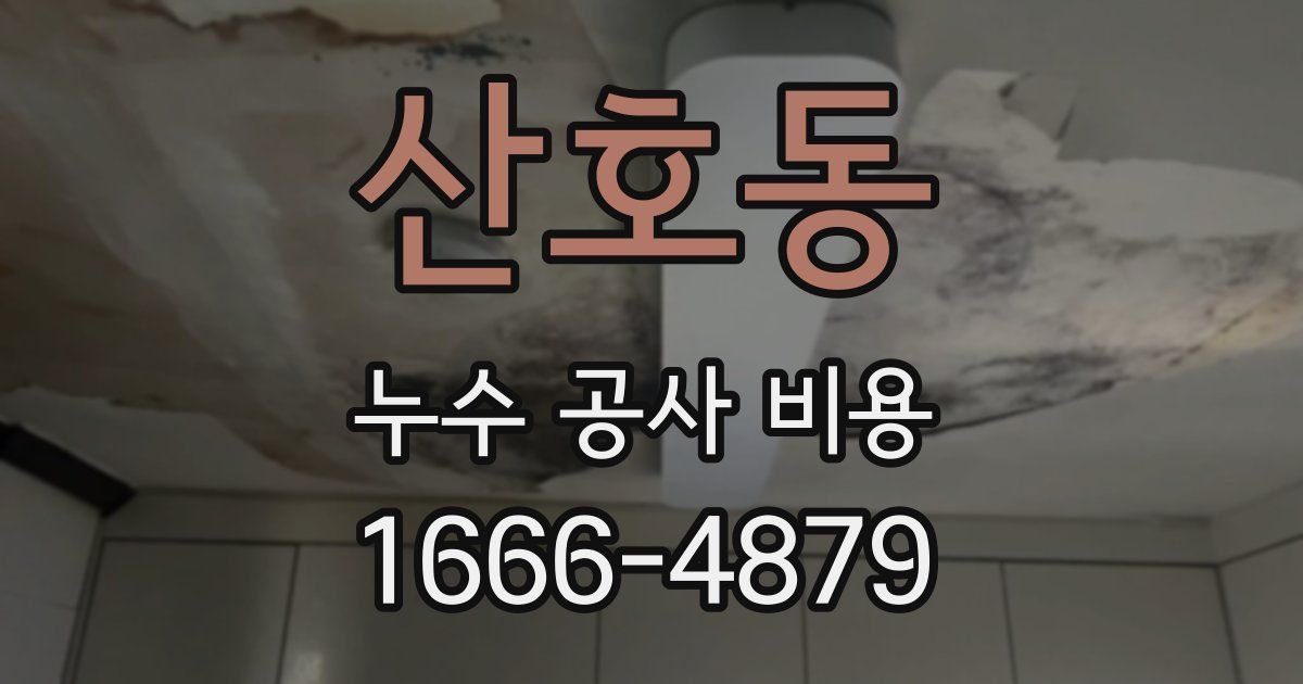 산호동 누수 공사 비용