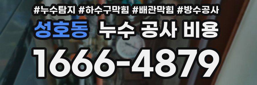성호동 누수 공사 비용
