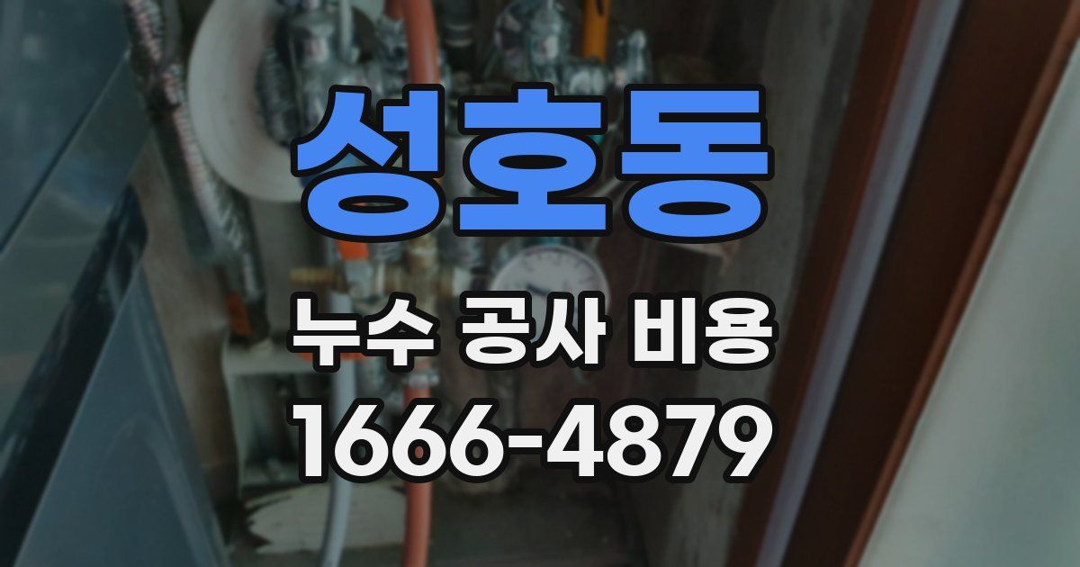 성호동 누수 공사 비용