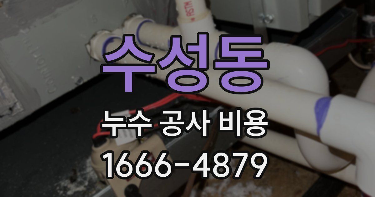 수성동 누수 공사 비용