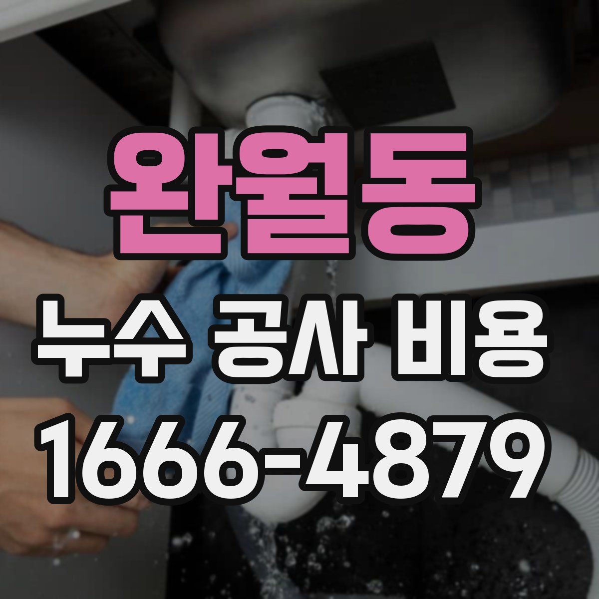 완월동 누수 공사 비용