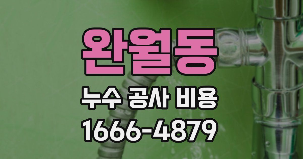완월동 누수 공사 비용