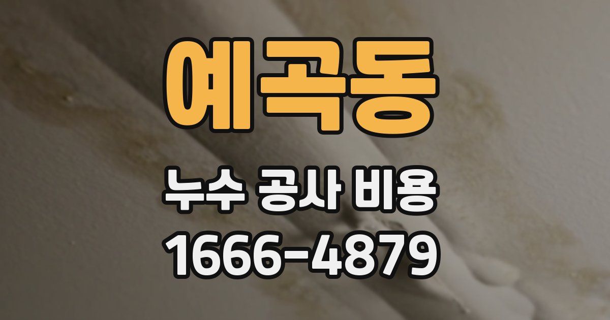 예곡동 누수 공사 비용