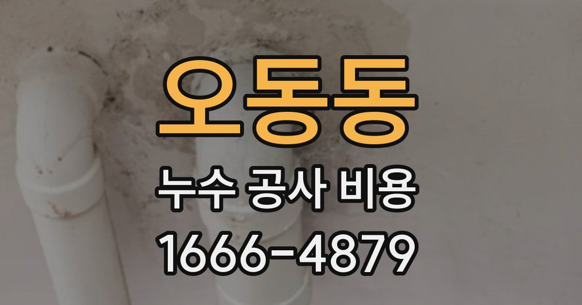 오동동 누수 공사 비용