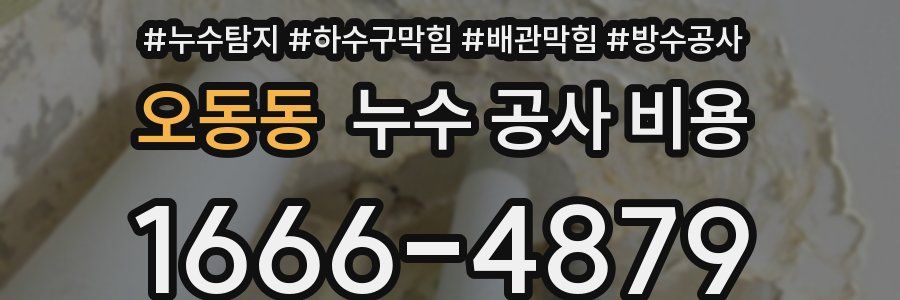 오동동 누수 공사 비용