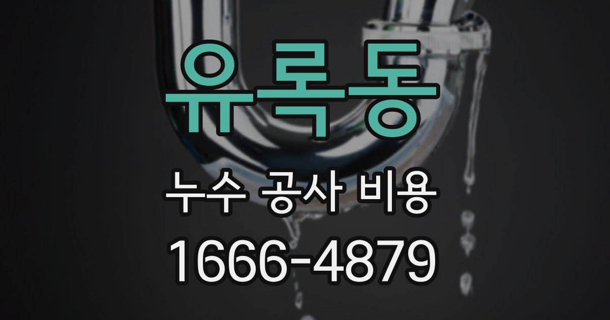 유록동 누수 공사 비용