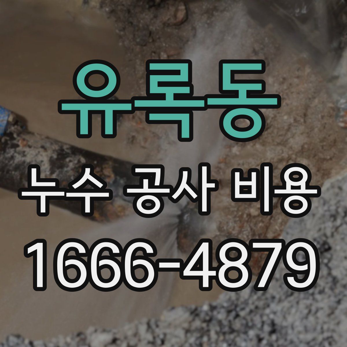 유록동 누수 공사 비용