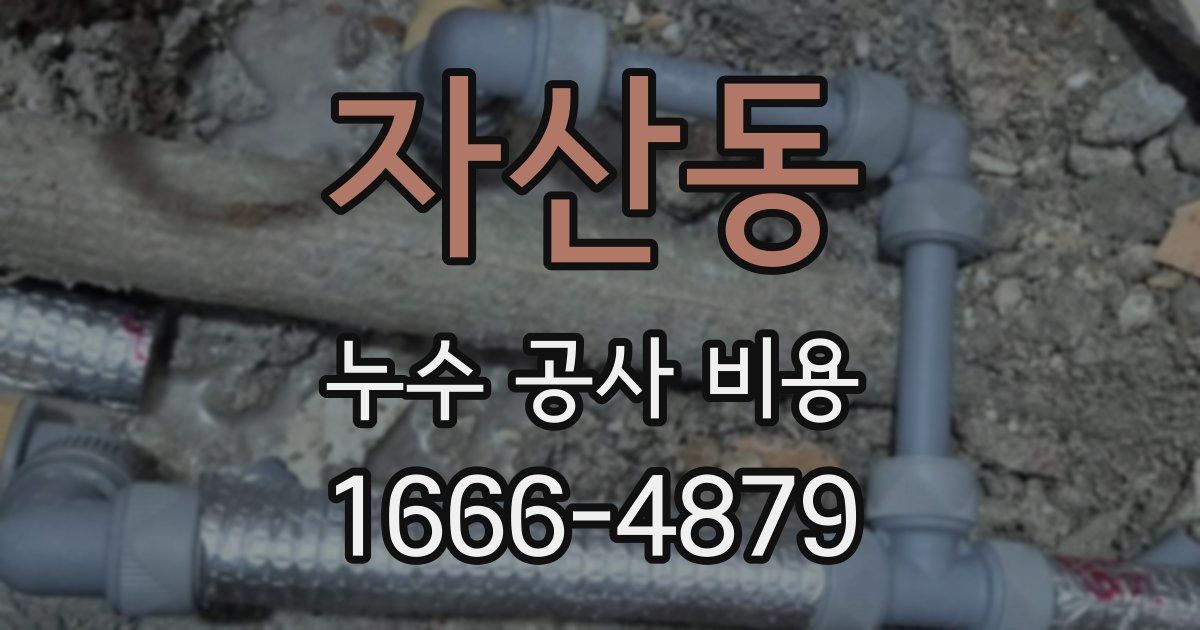 자산동 누수 공사 비용