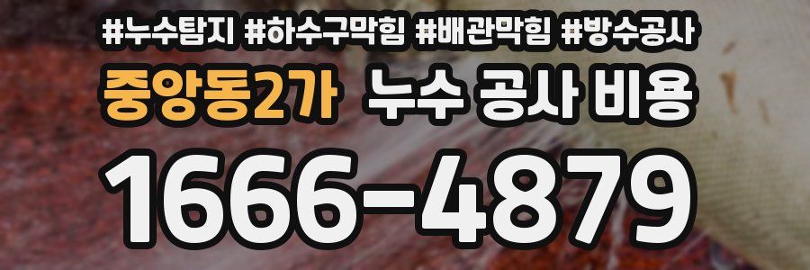 중앙동2가 누수 공사 비용