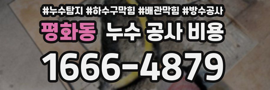 평화동 누수 공사 비용