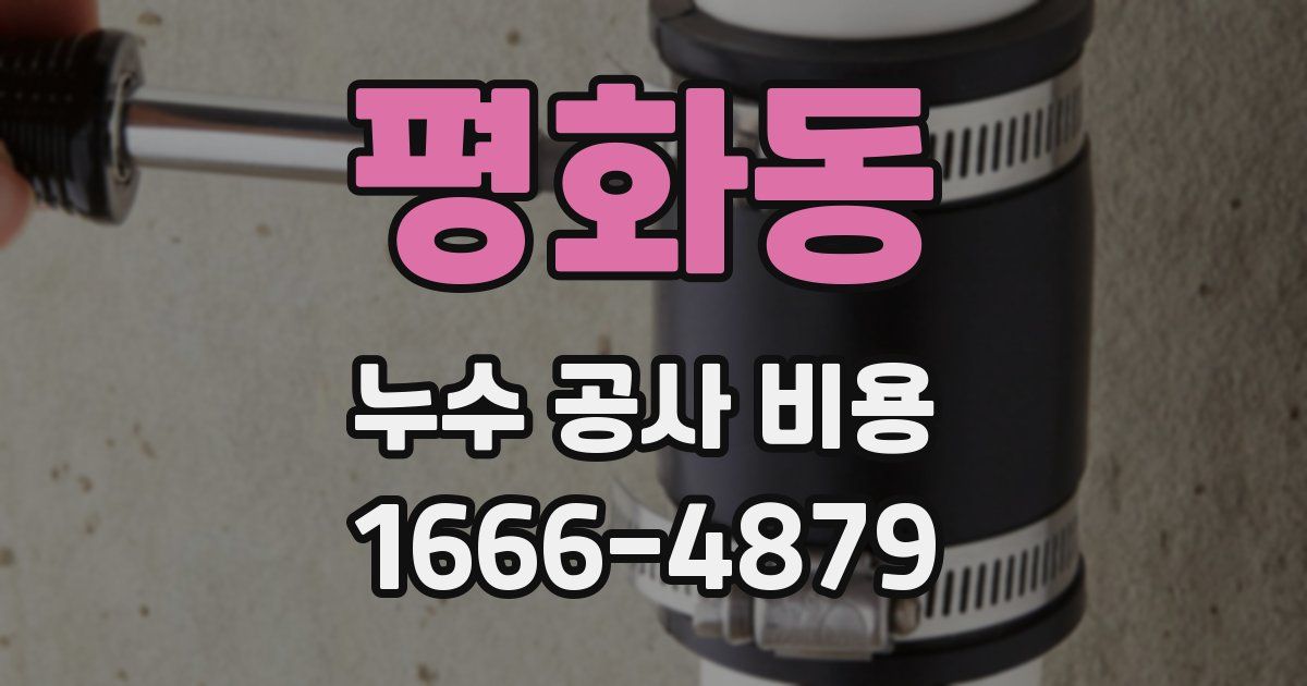 평화동 누수 공사 비용