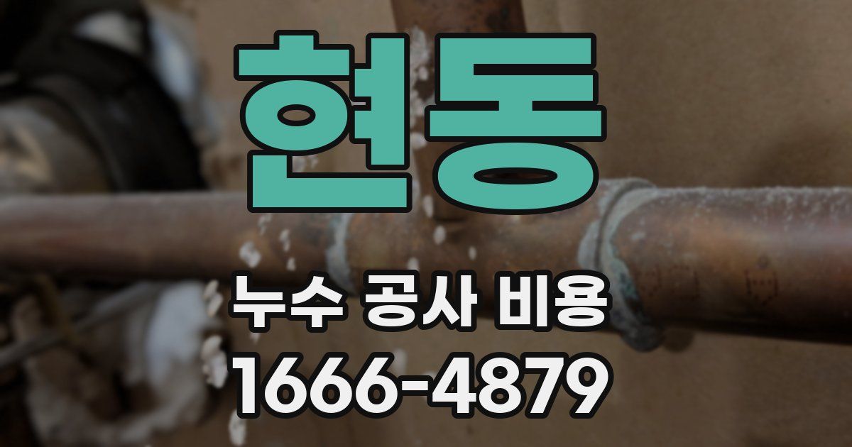 현동 누수 공사 비용