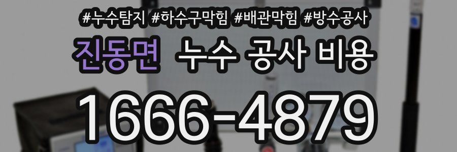 진동면 누수 공사 비용