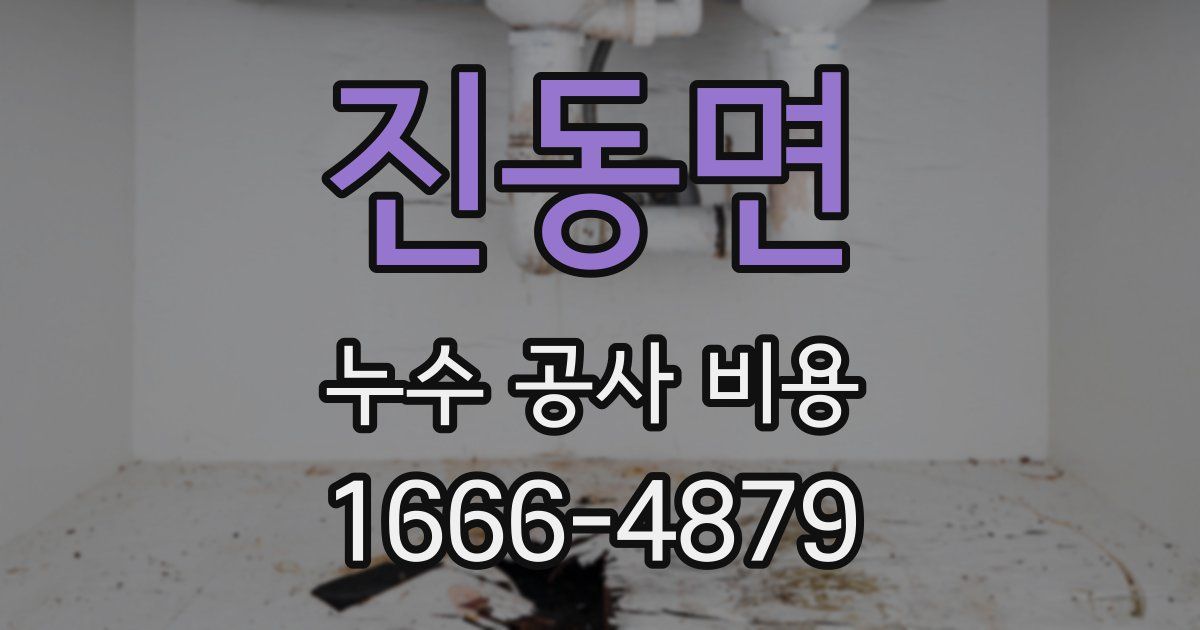진동면 누수 공사 비용