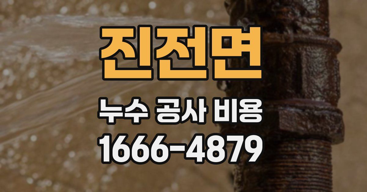 진전면 누수 공사 비용