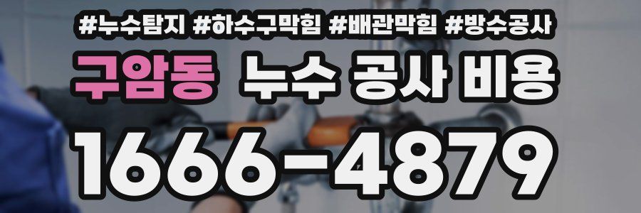 구암동 누수 공사 비용