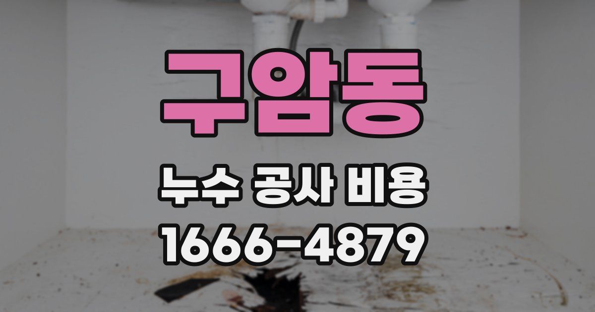 구암동 누수 공사 비용