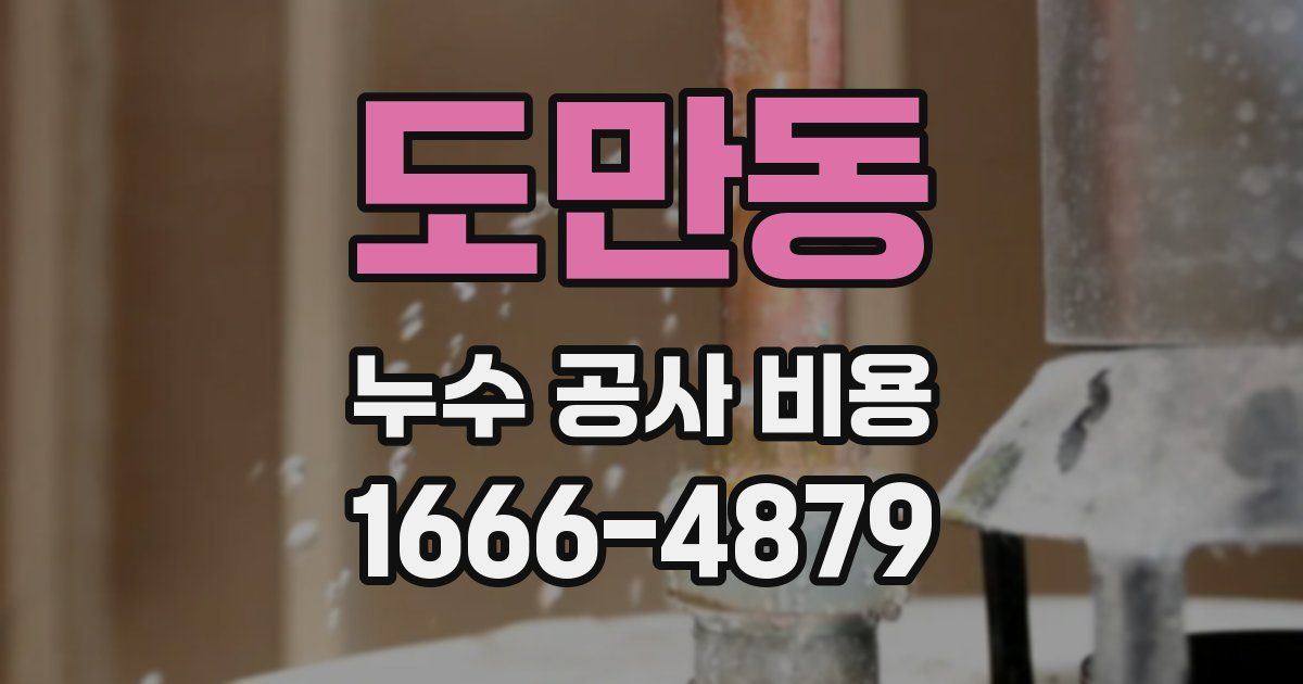 도만동 누수 공사 비용