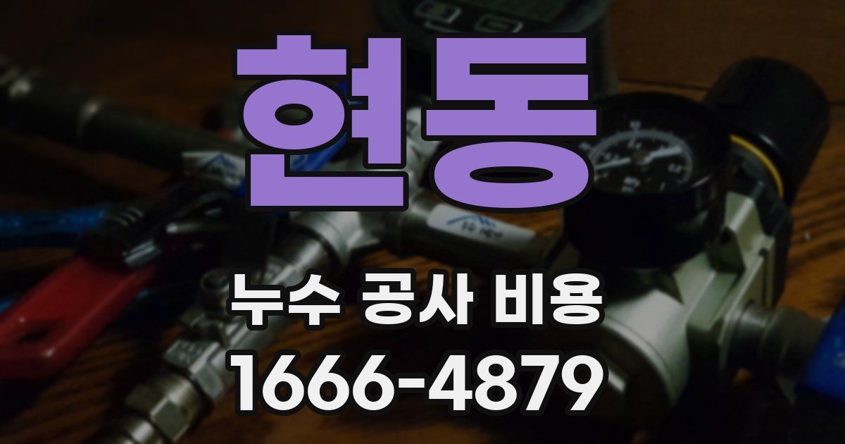 현동 누수 공사 비용