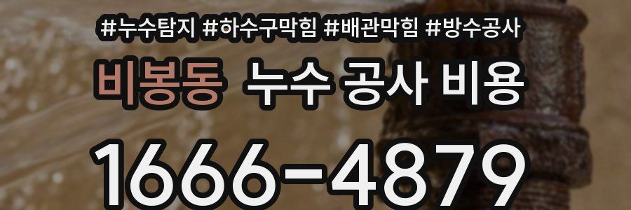 비봉동 누수 공사 비용