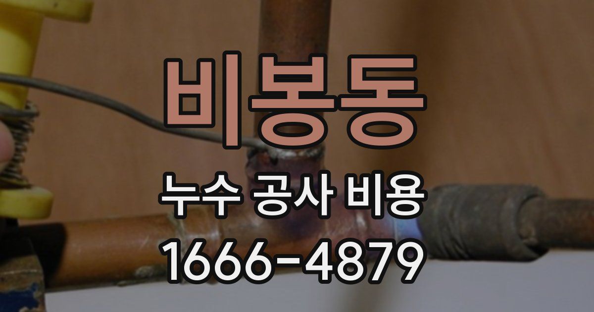 비봉동 누수 공사 비용