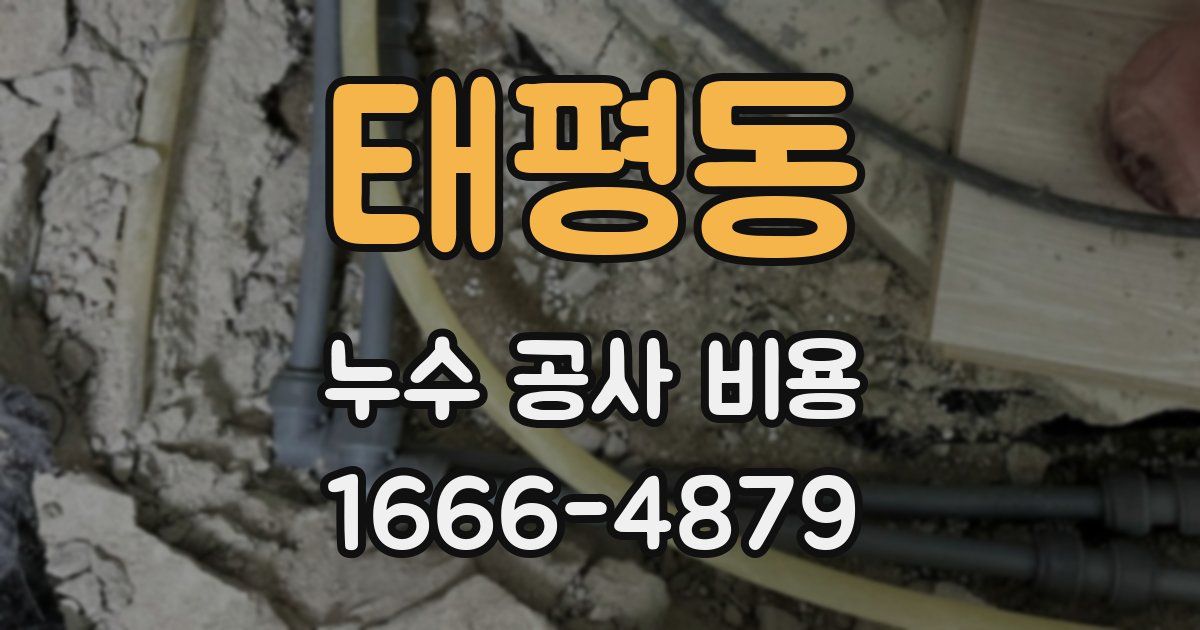 태평동 누수 공사 비용
