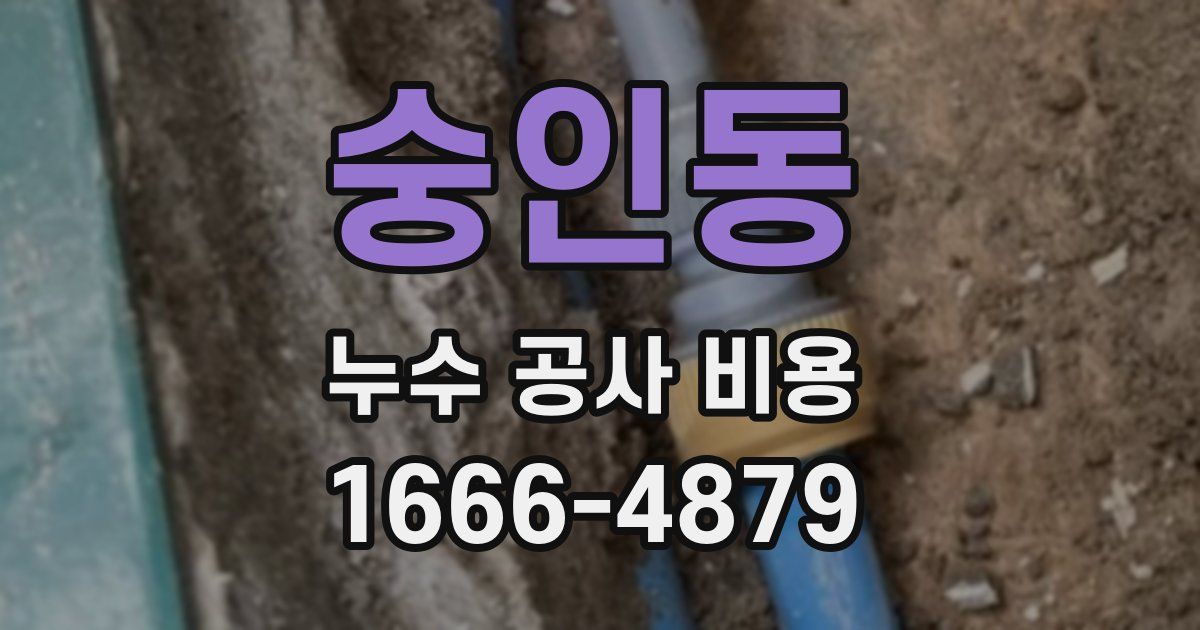 숭인동 누수 공사 비용