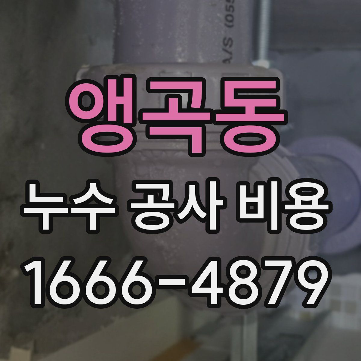 앵곡동 누수 공사 비용