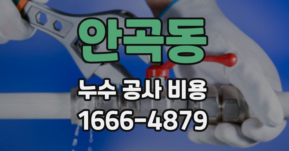 안곡동 누수 공사 비용