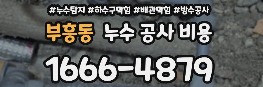 부흥동 누수 공사 비용