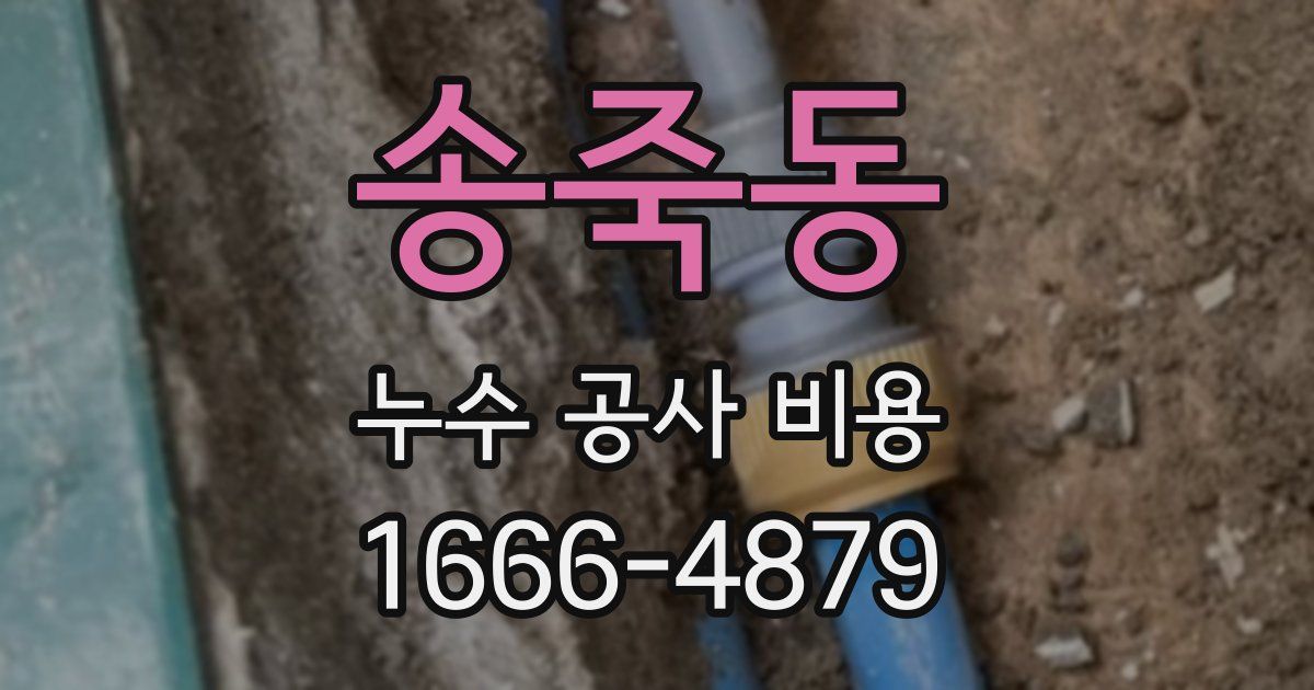 송죽동 누수 공사 비용