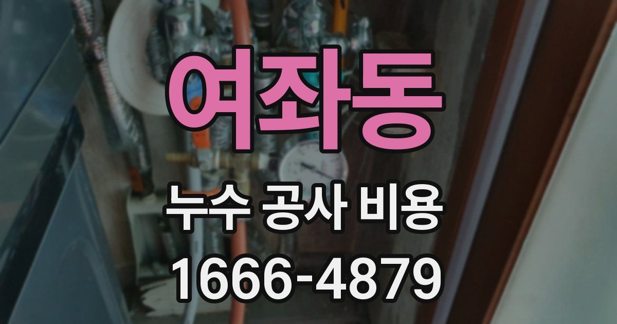 여좌동 누수 공사 비용