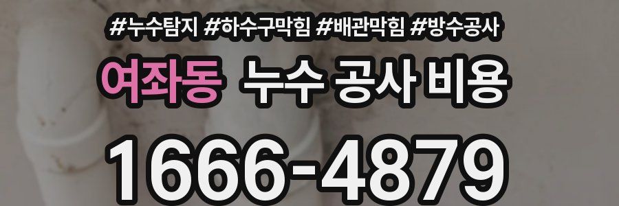 여좌동 누수 공사 비용