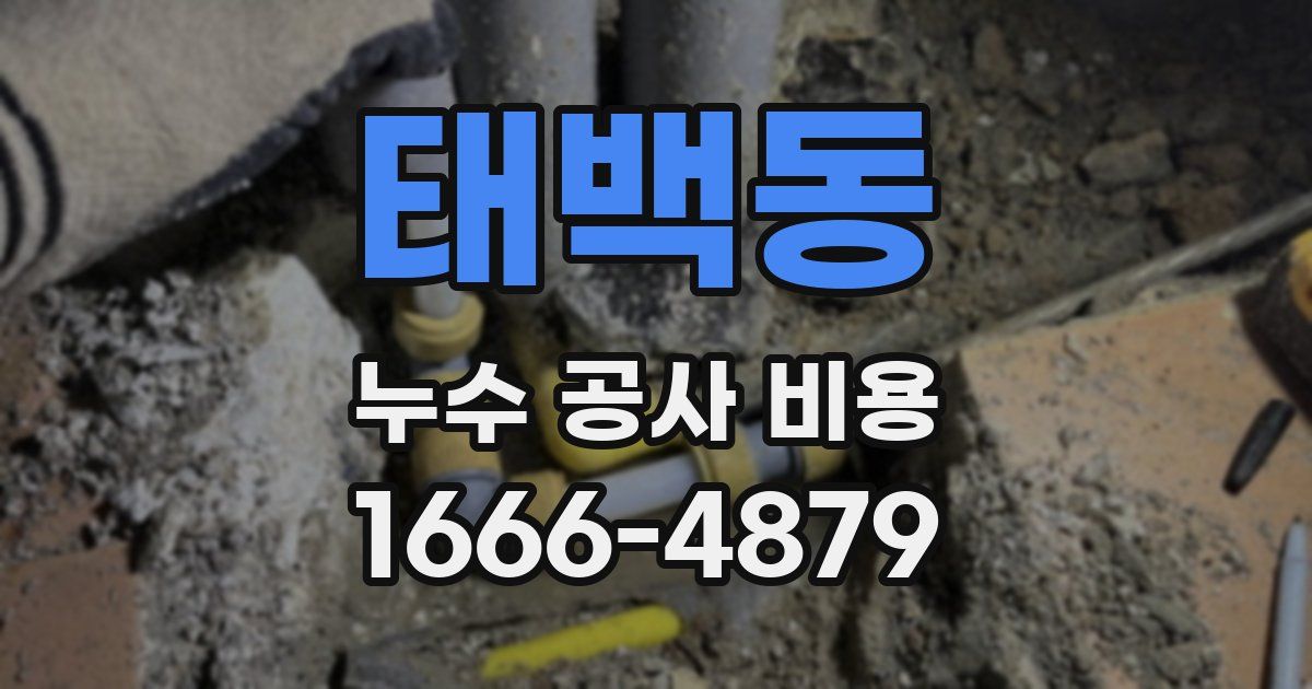 태백동 누수 공사 비용